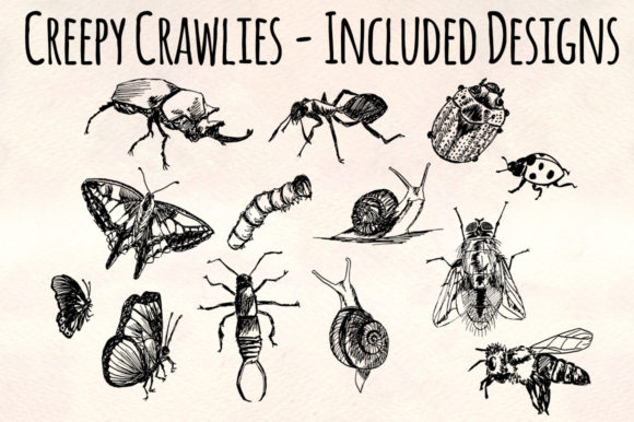 Creepy Crawlies: Strategic Visual Assets for Distinctive Brand Communication