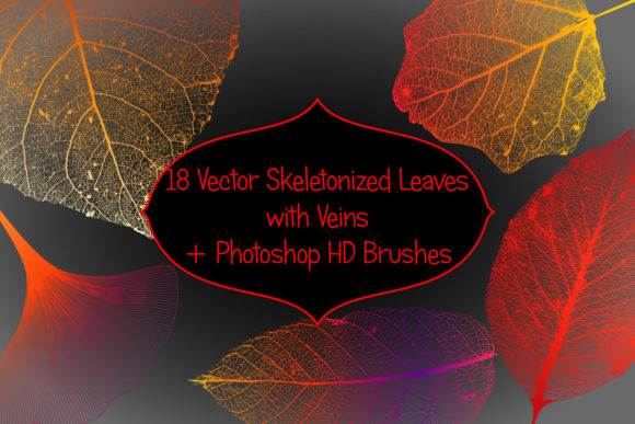 Strategic Design Assets: Leveraging 18 Vector Leaf Structure Skeletons for High-Impact Visual Communication